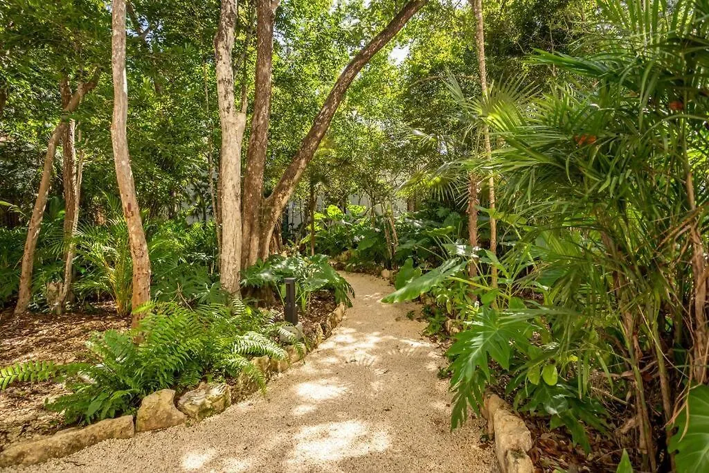 Villa Tuane Tulum Luxury Homes